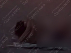 В Одессе двое влюбленных занялись сексом на общественном пляже
