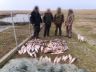 В Одесской области задержали браконьера с уловом на два миллиона рублей
