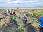 Жители Одесской области самостоятельно вручную вырыли водообмен между лиманами
