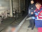 В Одесской области грузовой поезд насмерть сбил мужчину в наушниках