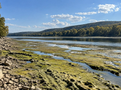 Днестр почти пересох: Одесса может остаться без воды