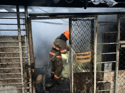 В Одессе чуть не сгорело кладбище