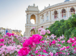 «Менять формат СВО уже нет смысла»: аналитик Герасимов заявил о необходимости взять Одессу и Николаев