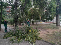 В Одессе стихийный ветер повалил 50 деревьев и оборвал электропровода