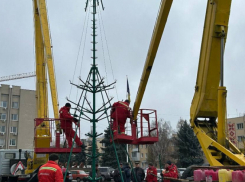 Новости Одессы: первые по заболеваемости ВИЧ, в топе регионов с количеством случаев бешенства животных, а в городе устанавливают елку