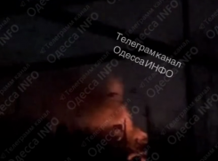 В Одессе массовые аварийные отключения после ночных ударов по инфраструктуре