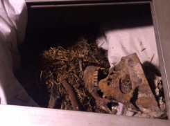 Кости разбиты и разбросаны: под Одессой разгромили саркофаг Григория Котовского