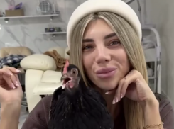 Одесситка привела курицу на маникюр и сняла это на видео