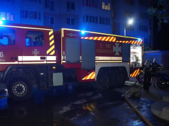 Спасатели вытащили из огня жителей и питомцев в Одессе