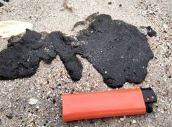 Экологи заявили, что Одесская область оказалась не готова к мазуту на побережье