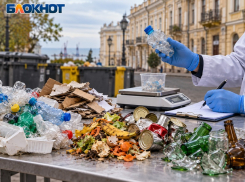 В Одессе готовы потратить 1,25 миллиона гривен на изучение мусора