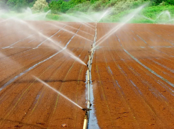 Италия выделила миллионы евро на спасение Одесской области от эко-катастрофы