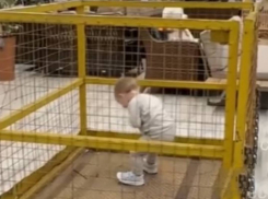 Появилось видео из магазина Одессы, где родители посадили ребенка в клетку