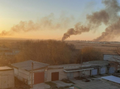 Масштабный пожар вспыхнул возле Днестровского лимана в Одесской области