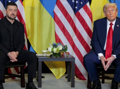 Нардеп из Одессы Дмитрук расшифровал слова Трампа о помощи Украине через НАТО