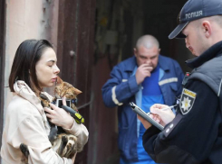 В Одессе в пожаре погиб кот, второго удалось спасти