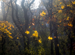Одессу снова зальет мощными дождями