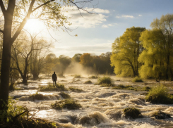Жителей Одесской области предупредили о резком подъеме воды