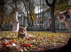 Новости Одессы: по порту Ильичевска нанесли удар, снесли памятник Высоцкому, а мэр Одессы считает разговоры с Зеленским пустой тратой времени