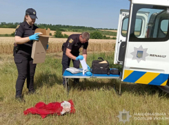 Одессит по пьяни забил знакомого до смерти и бросил на дороге