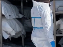 RFI: тысячи трупов солдат ВСУ больше года гниют в холодильниках под Одессой