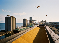 США захватили порт Одессы: взяты под контроль поставки зерна по Черному морю