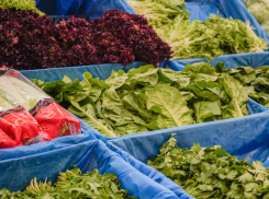 Цены на зелень в Одессе поползли вверх вслед за градусником