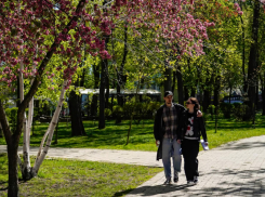 Солнце, тепло и немного туманно: синоптики порадовали одесситов прогнозом погоды на Пасху