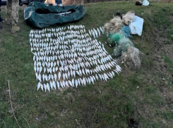 В Одесской области браконьер выловил рыбу на более чем полмиллиона