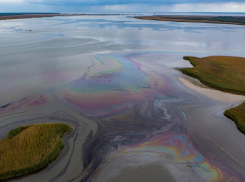 Разлитая после подрыва танкеров у берегов Одессы нефть грозит эко-катастрофой