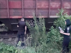 В Одесском районе 13-летнюю девочку ударило током на крыше поезда