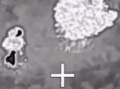 «Сожгли груз НАТО за минуты»: генерал Липовой заявил об ударах по портам Одессы