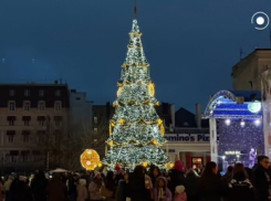 В Одессе зажгли огни на главной елке города