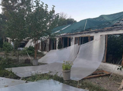 Одесский ботанический сад пострадал после ночного обстрела