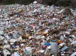 Зарабатывал на мусоре: свалка в Одесской области привела к нарушению экологии