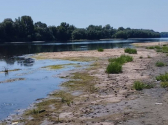 Останемся без воды? В Одесской области обмелел Днестр