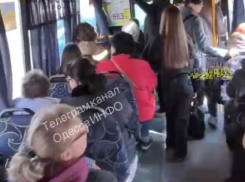 Из общественного транспорта Одессы исчезли все мужчины, но есть нюанс