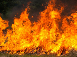 В Одессе мужчина поджег машину приятеля, а потом пытался помириться с ним