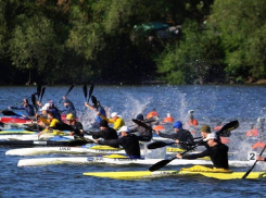 Спортсмены из Одесской области занимают призовые места на чемпионатах