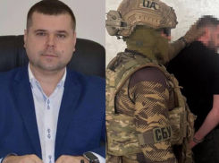 Мэра Килии отправили в СИЗО: он требовал взятку за вырубку леса под электростанцию