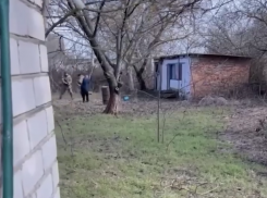 В Одесской области сотрудники ТЦК мобилизовали гуся