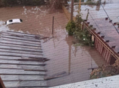 На Одесчине еще одна семья из шести человек не может выбраться из дома, из-за воды вокруг