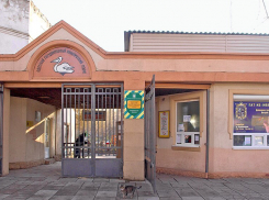 Корма хватает, а держать негде: одесский зоопарк не справляется с наплывом спасённых птиц