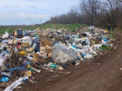 В Одесской области ликвидировали стихийную свалку