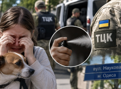 В Одессе не смогли найти сотрудника ТЦК, обжегшего газом глаза 12-летней девочке