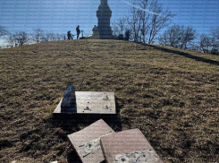 Экс-премьер Украины Азаров: вандалы разбили Александровскую колонну в Одессе