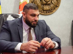 Одесский депутат заплатил более полутора миллионов за забытую морковку