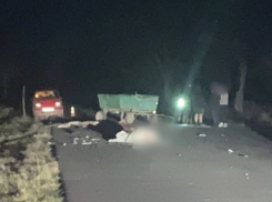 В ДТП с фурой в Одесской области погибли лошадь и ее хозяин