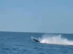 Румыния уничтожила украинский морской дрон Sea Baby в Черном море