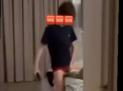 В Одессе подросток изнасиловал кота, снимая на видео — кот не выжил